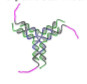 One of the four subunits that make up a DNA tetrahedron. (Image modified from Zhang et al.)